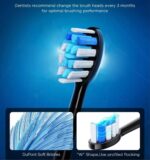 مسواک برقی فیری ویل مدل P11 | Fairywill P11 Electric Toothbrush مسواک برقی اولتراسونیک فیری ویل مدل P11 با موتور Maglev، سرعت 62,000 حرکت در دقیقه، ضدآب IPX7، طراحی برنده جایزه Red Dot 2020، و باتری با ماندگاری 30 روز. تجربه‌ای متفاوت از نظافت دندان‌ها.